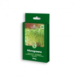 Семена для проращивания микрозелени руколы 100 г
