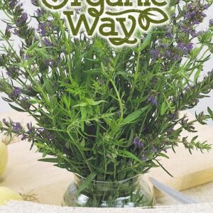 Иссоп лекарственный 0,6 гр