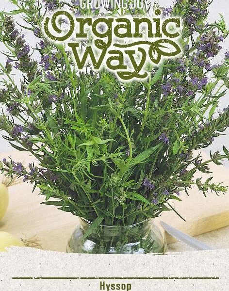 Иссоп лекарственный 0,6 гр