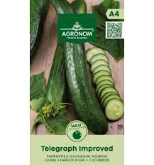 Telegraph Improved 0,3 г