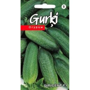 Dirigent 15 семян