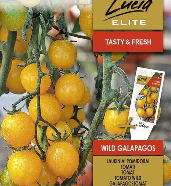 Wild Galapagos 10 семян
