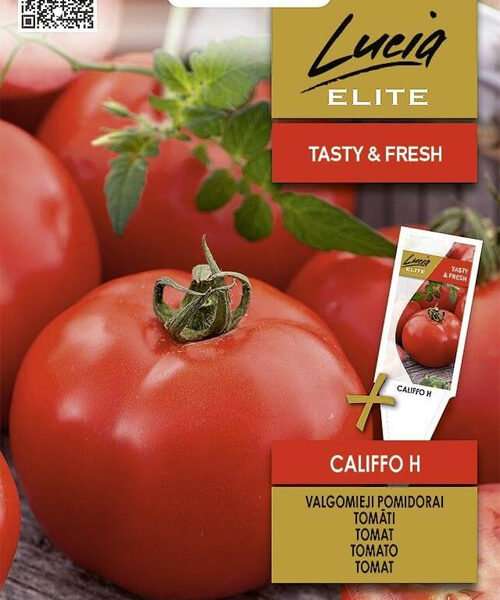 Califfo 10 семян