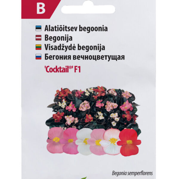 Бегония вечноцветущая "Cocktail" F1 20 семян