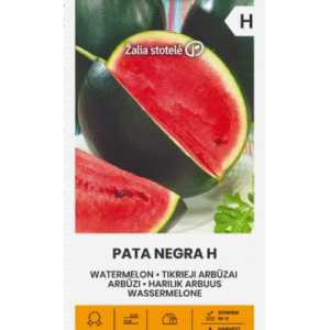 Арбуз Pata Negra 5 семян