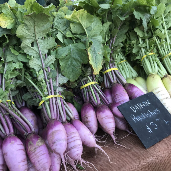 Корнеплоды