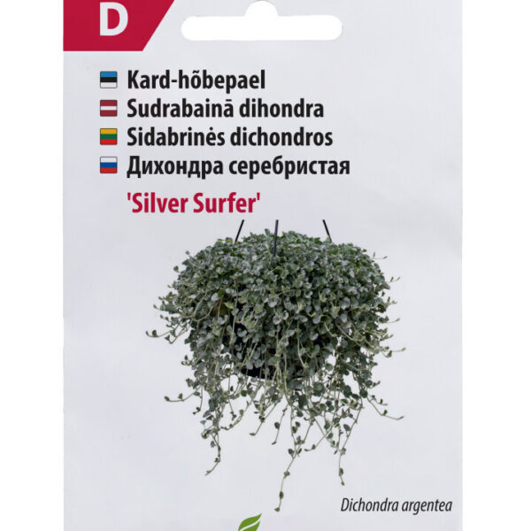 Дихондра серебристая "Silver Surfer" 5 семян