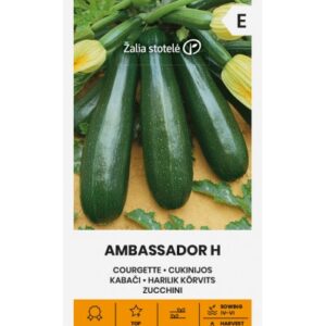 Ambassador 1 г