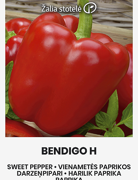 Bendigo 10 семян