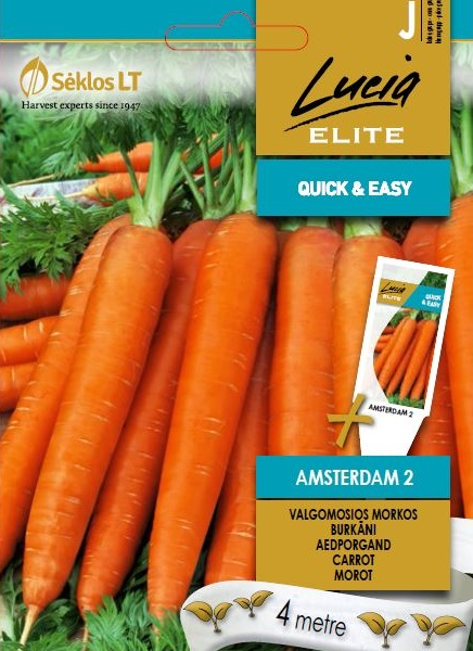 Amsterdam 2 (Lucia) на ленте 4 метра = 300-350 корнеплодов