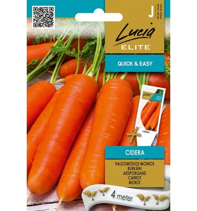 Cidera на ленте 4 метра = 300-350 корнеплодов