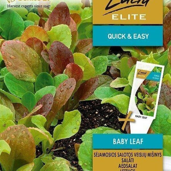 Baby leaf на ленте 4 метра