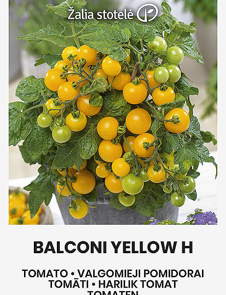 Balconi Yellow 0,1 г