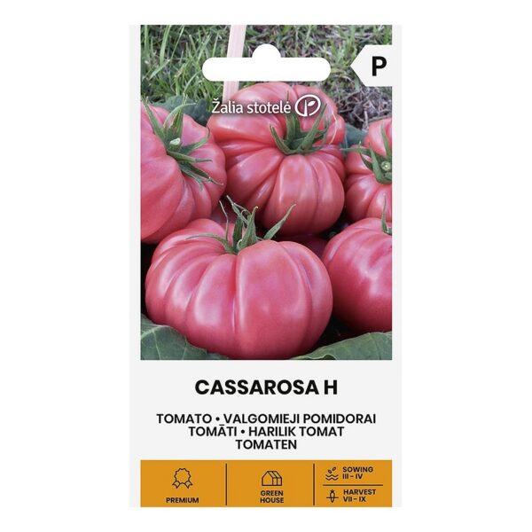 Cassarosa 5 семян