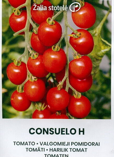 Consuelo 10 семян