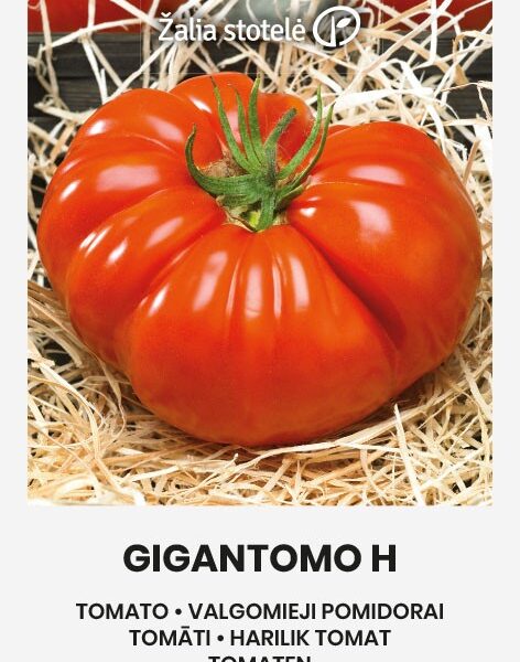 Gigantomo 10 семян