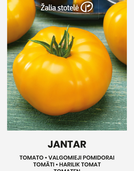 Jantar 0,2 г
