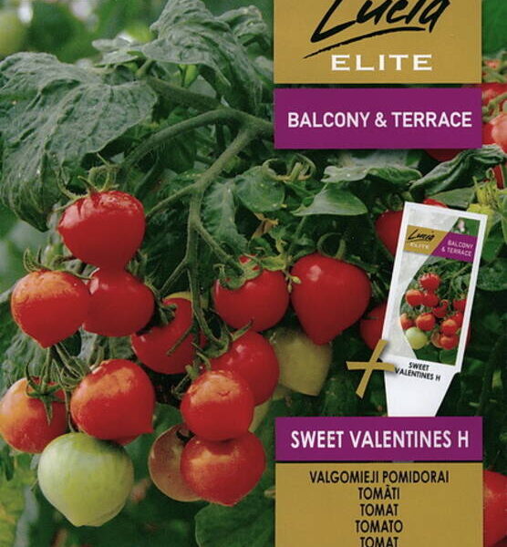 Sweet Valentines 7 семян