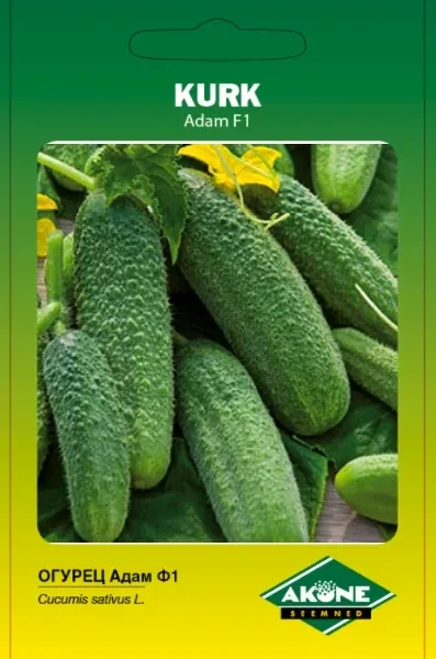 Adam F1 10 семян