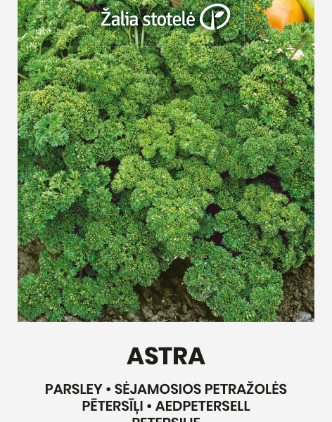 Петрушка кудрявая Astra 2 г