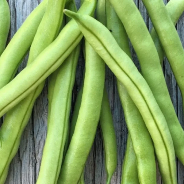 Фасоль Lemmik 20 г