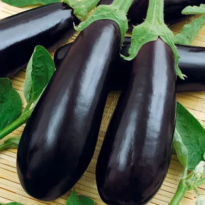 Баклажан Nero 50 семян