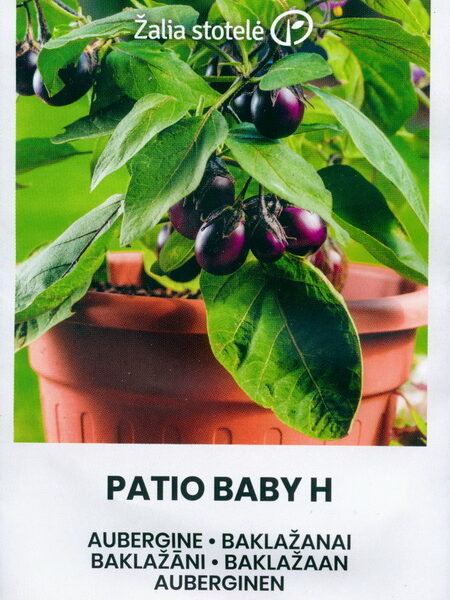 Баклажан Patio Baby 10 семян