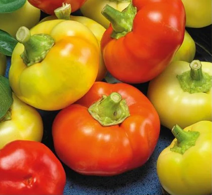 Острая паприка-чили Ilika 0,1 g