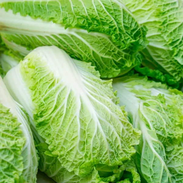 Пекинская капуста Capitol 0,1 g