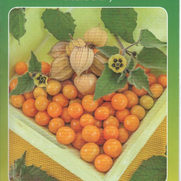 Физалис Ground Cherry 0,2 г