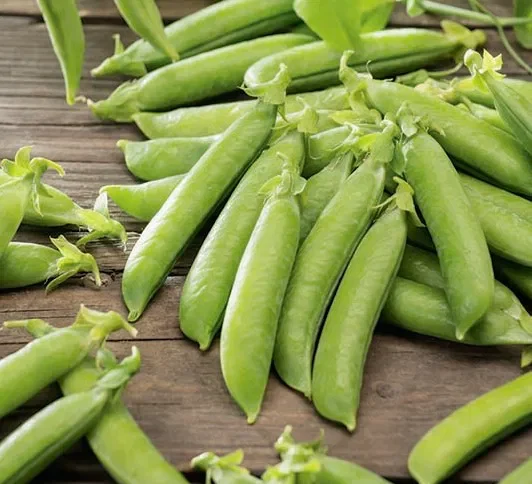 Лущильный горох Gloriosa 15 г