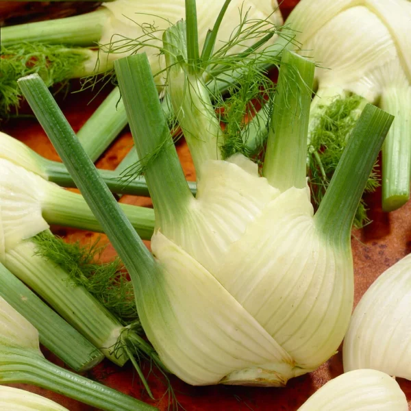 Фенхель обыкновенный, укроп аптечный Romy 1 г