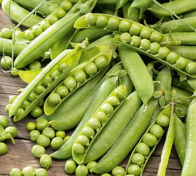 Мозговой горошек Kelvedon Wonder 20 г