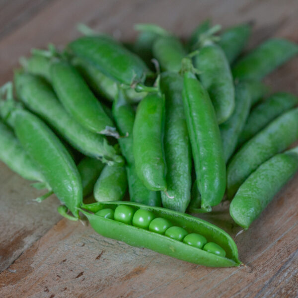 Мозговой горошек Kelvedon Wonder 15 г