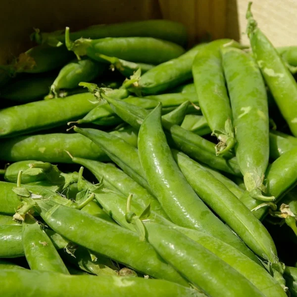 Сахарный горошек Ambrosia 100 г