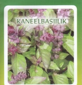 Базилик с ароматом и вкусом корицы 0,5 г