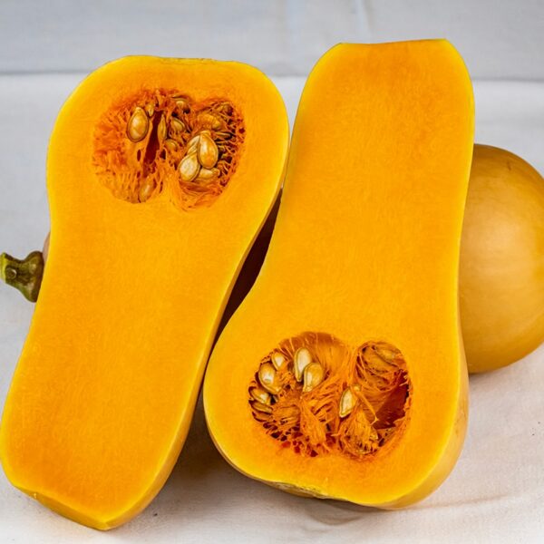 Тыква Mieluna F1 4 семечка