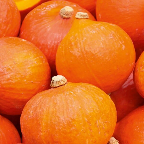 Тыква Uchiki Kuri 2 г