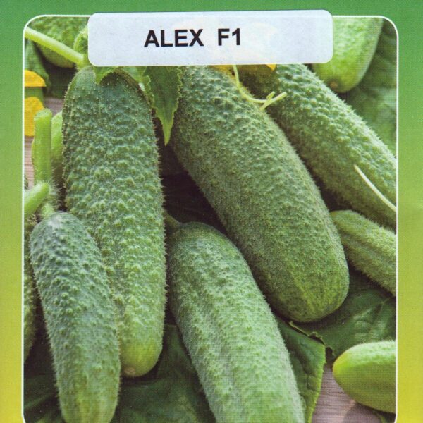 Alex F1 10 семян