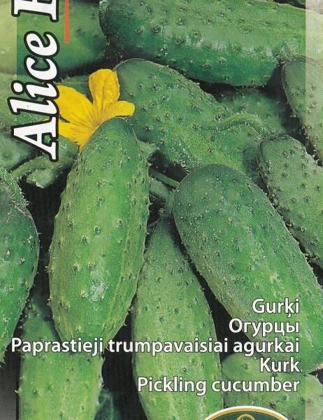 Alice 1 г
