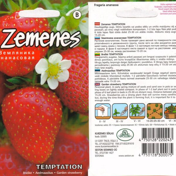 Fragaria ananassa "Temptation" 10 семян