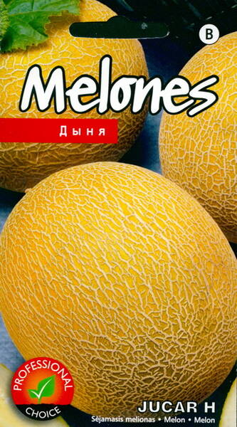 Дыня Jucar 5 семян