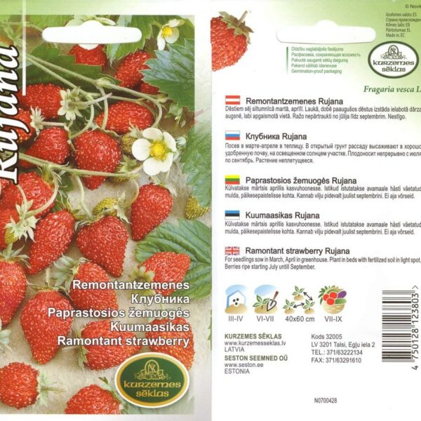 Fragaria vesca "Rujana" 0,1 г
