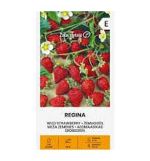 Fragaria vesca "Regina" 0,1 г