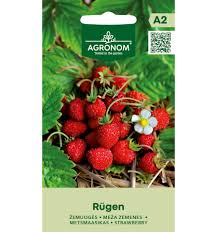 Fragaria vesca "Rügen"  0,1 г