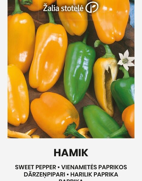 Hamik 0,1 г