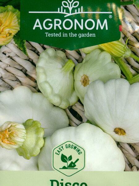 Патиссон Disco 2 г