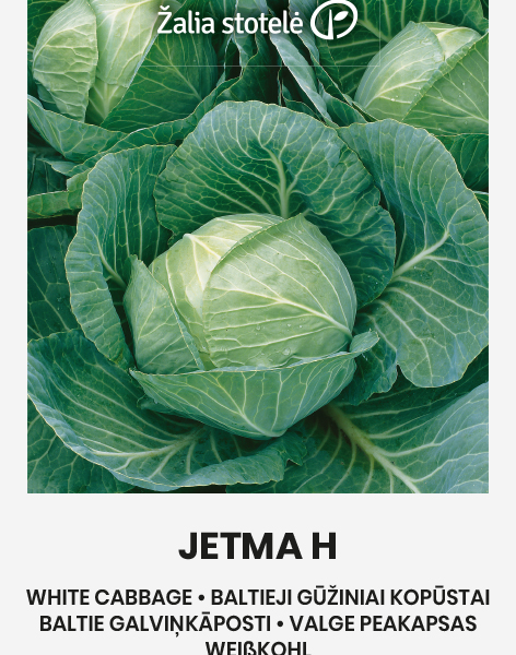 Капуста белокачанная Jetma 0,1 г