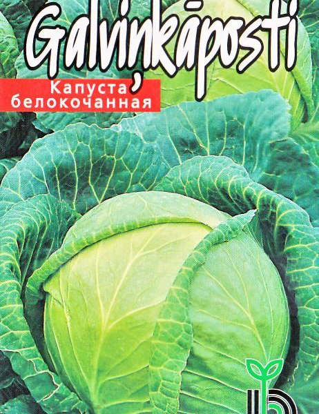 Капуста белокачанная Krautman F1 30 семян