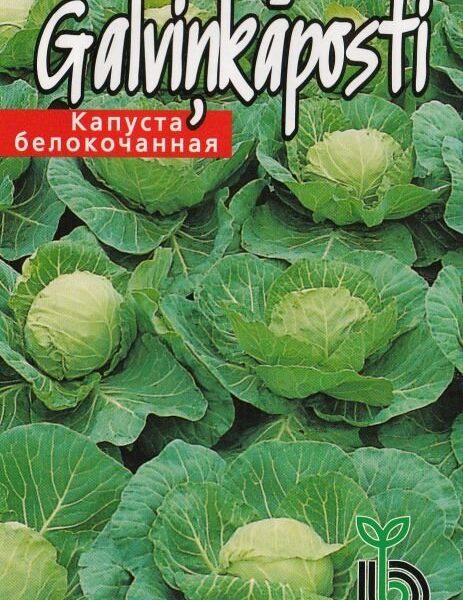 Капуста белокачанная Parel F1 30 семян